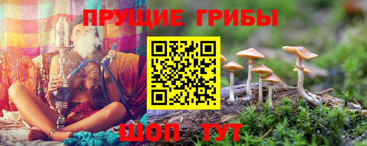 Псилоцибиновые грибы мухоморы Алатырь