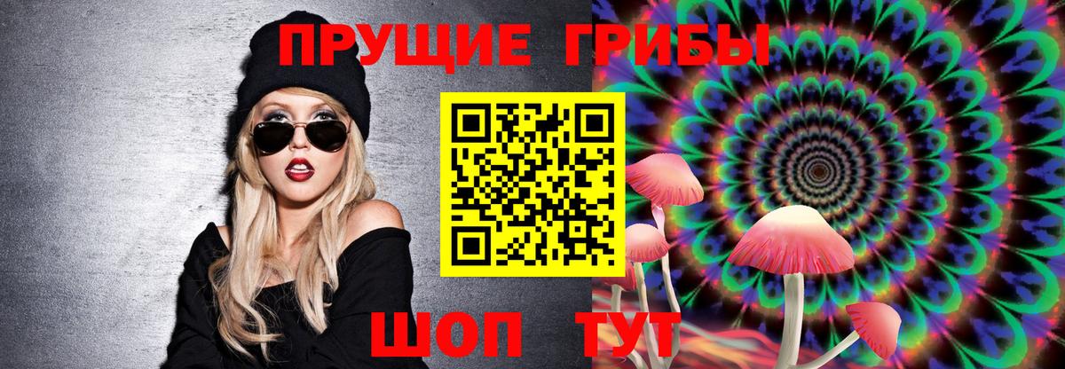 Галлюциногенные грибы ЛСД  Вход с VPN  Алатырь  Галлюциногенные грибы Psilocybe 